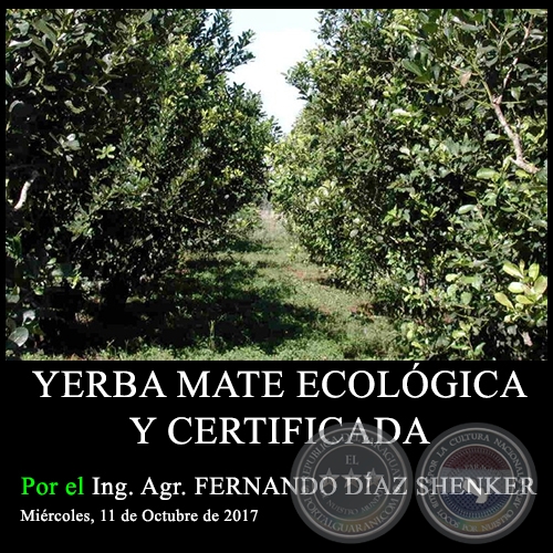 YERBA MATE ECOLÓGICA Y CERTIFICADA - Ing. Agr. FERNANDO DÍAZ SHENKER - Miércoles, 11 de Octubre de 2017